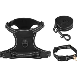 Arnés Para Perros Con Correa Y Collar Ajustable Negro M
