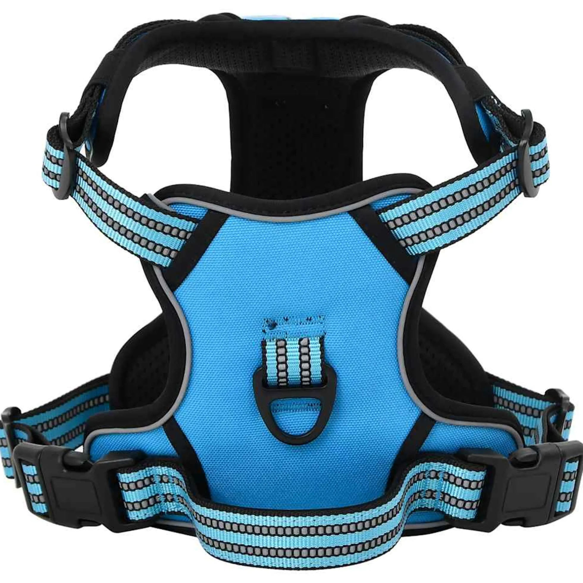 Arnés Para Perros Con Correa Y Collar Ajustable Azul Xl