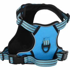 Arnés Para Perros Con Correa Y Collar Ajustable Azul Xl