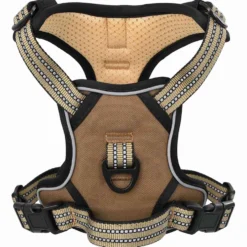 Arnés Para Perros Con Correa Y Collar Ajustable Marrón L
