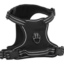 Arnés Para Perros Con Correa Y Collar Ajustable Negro L