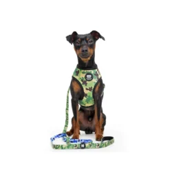 Arnés reversible para perro CAMO Dukier L