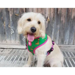 Arnés reversible para perro SAVANA Dukier XL