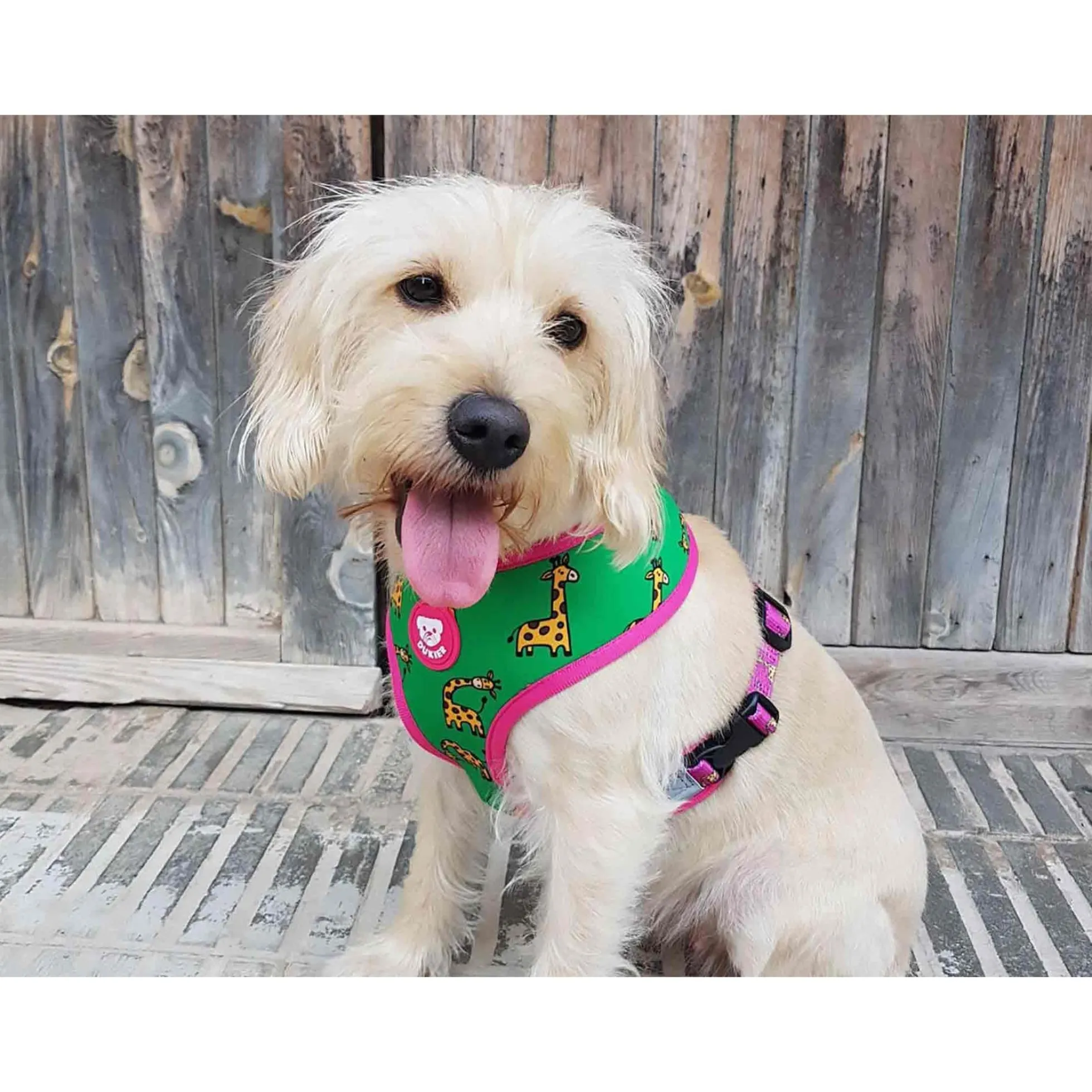 Arnés reversible para perro SAVANA Dukier XL