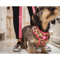 Arnés reversible para perro SAVANA Dukier XL