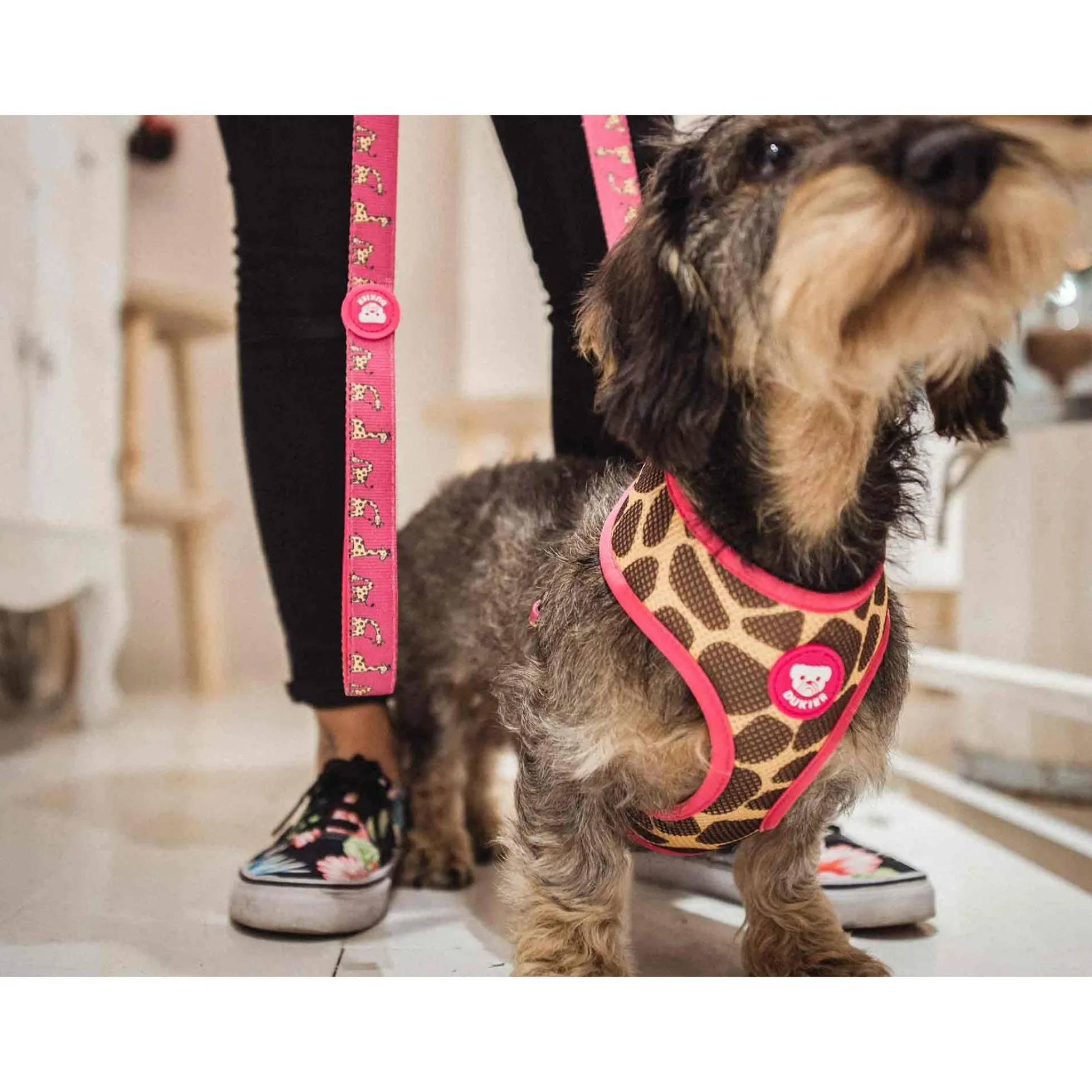 Arnés reversible para perro SAVANA Dukier XL