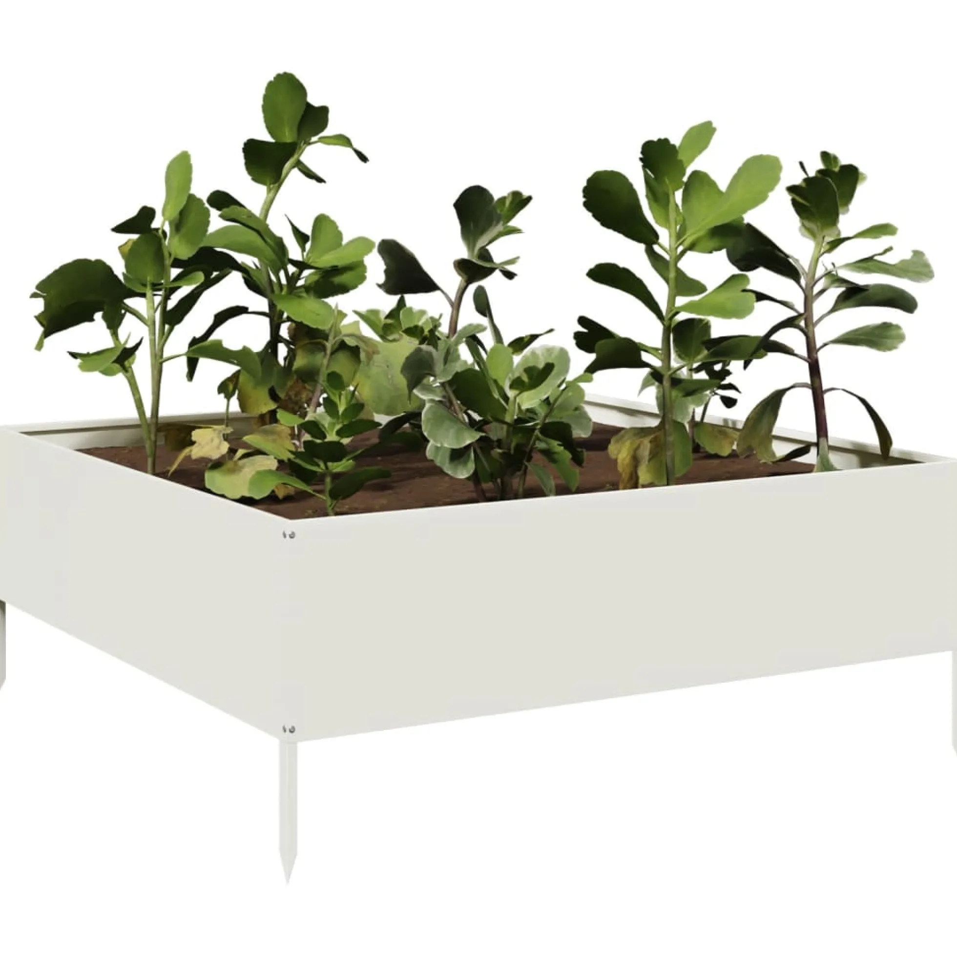 Arriate De Acero Blanco 100x100x25 Cm