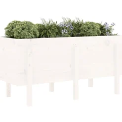 Arriate Elevado De Jardín Madera Maciza Pino Blanco 121x50x57cm