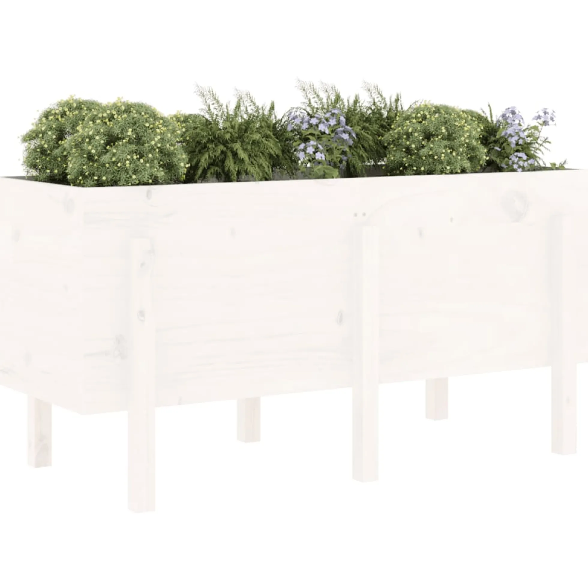 Arriate Elevado De Jardín Madera Maciza Pino Blanco 121x50x57cm