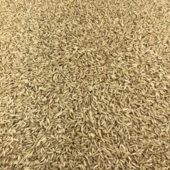 Arroz Basmati Integral Ecológico A Granel 25 Kg