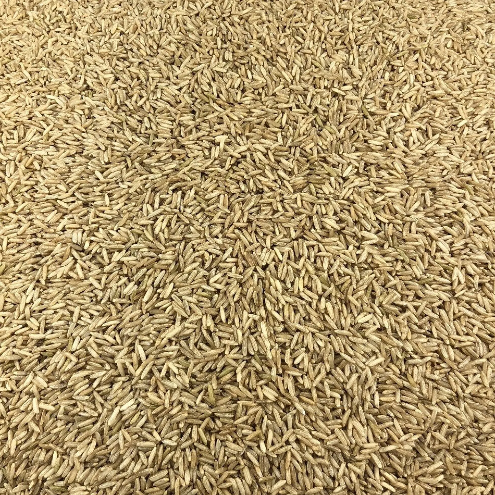 Arroz Basmati Integral Ecológico A Granel 25 Kg