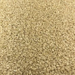 Arroz Integral Ecológico Granel 0,25 Kg