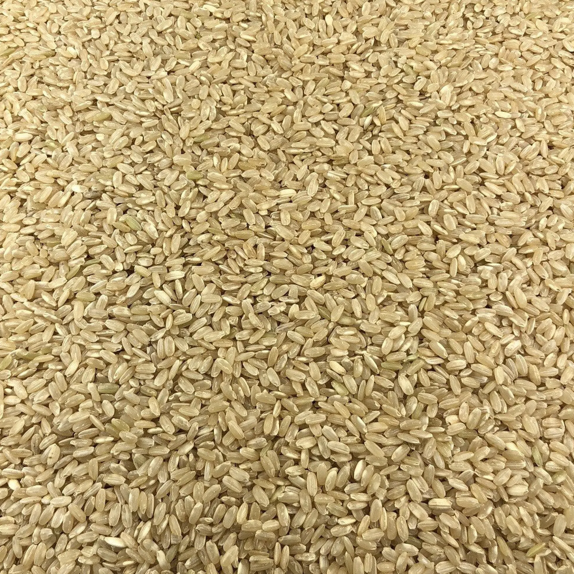 Arroz Integral Ecológico Granel 0,25 Kg