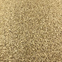 Arroz Integral Ecológico Granel 0,25 Kg