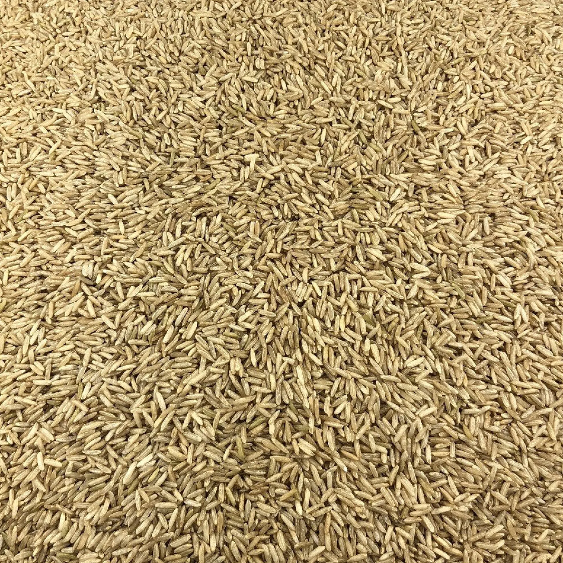 Arroz Integral Ecológico Granel 0,25 Kg