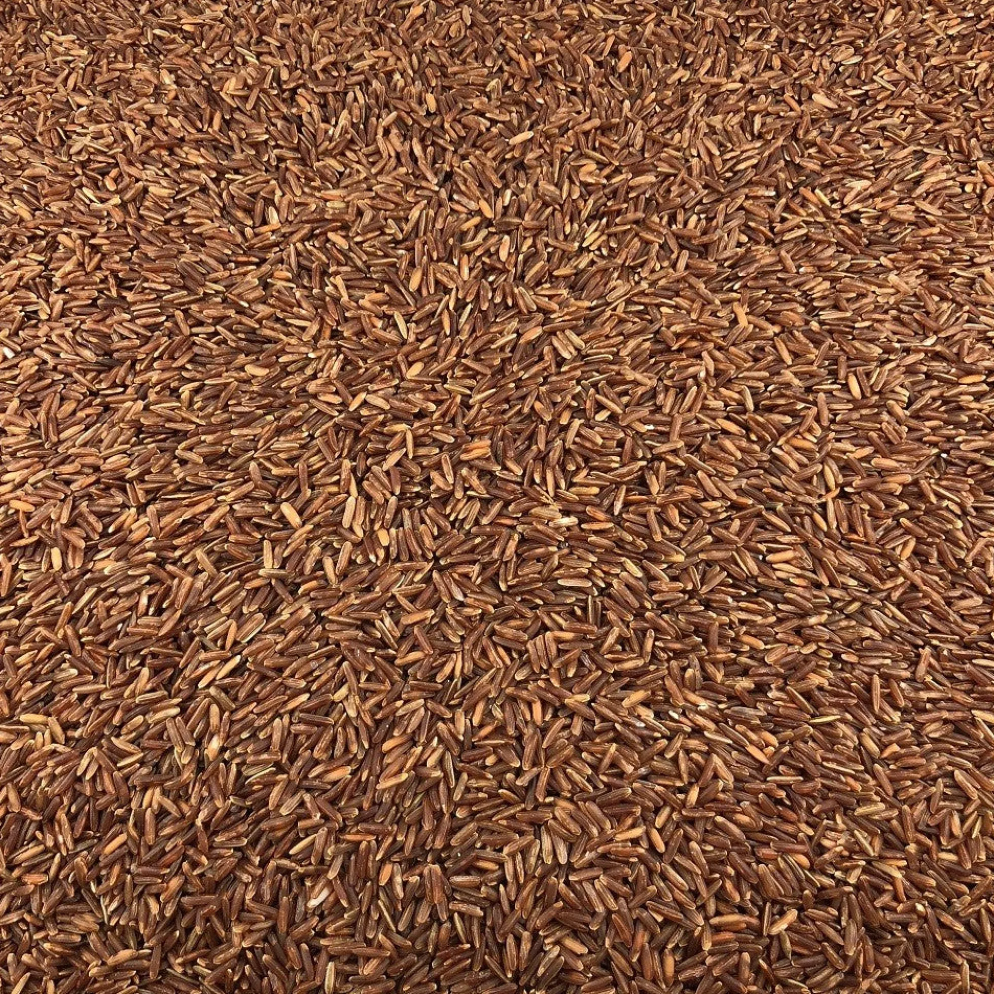 Arroz Rojo Ecológico Granel 0,5 Kg