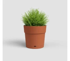 Artevasi Macetero Capri Con Reserva De Agua Terracota 20cm