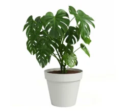 Artevasi Macetero De Plástico Capri Blanco 30cm