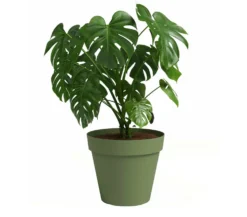 Artevasi Macetero De Plástico Capri Verde 25cm