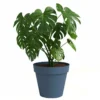 Artevasi Macetero De Plástico Capri Azul Grisáceo 25cm