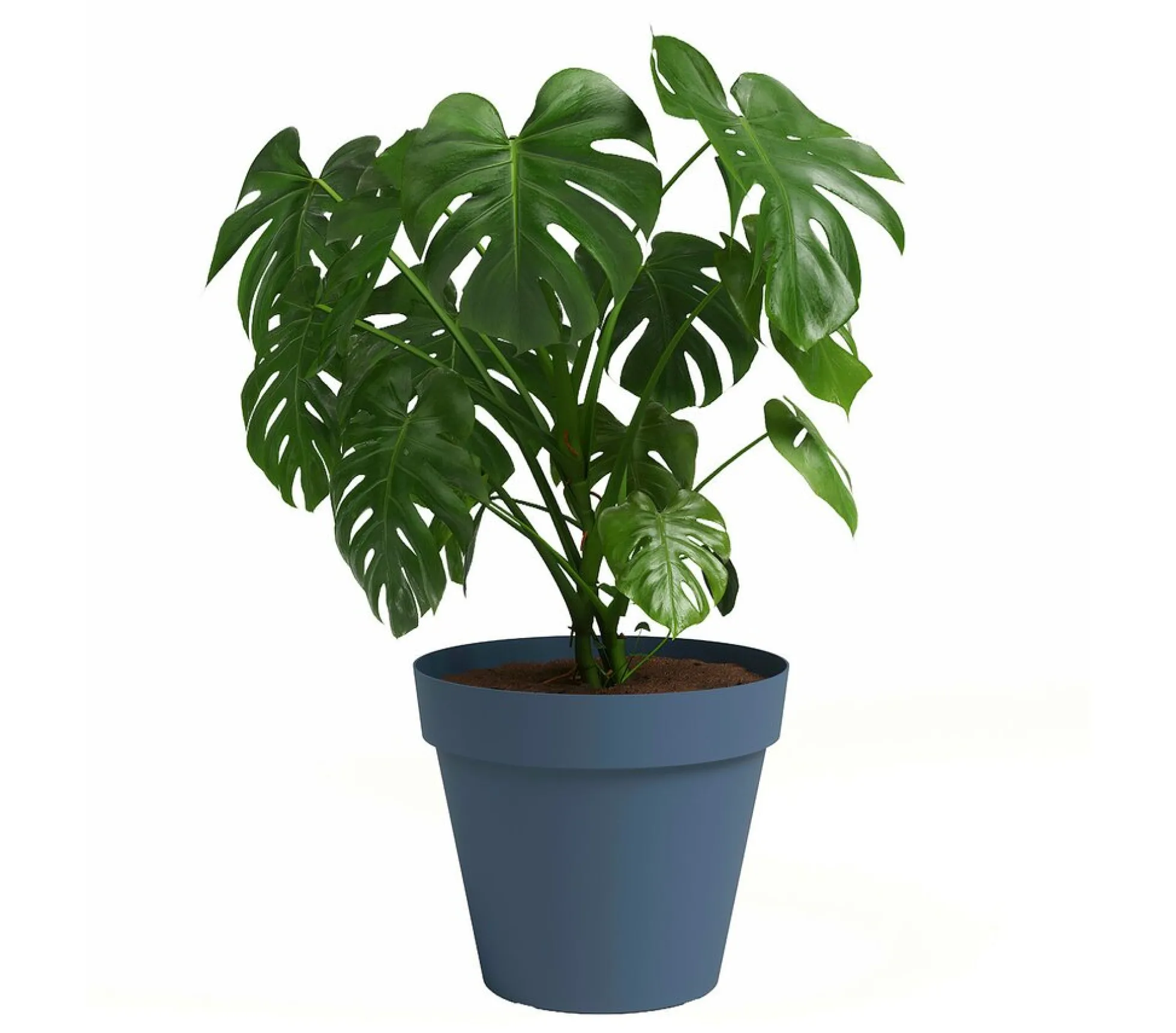 Artevasi Macetero De Plástico Capri Azul Grisáceo 25cm
