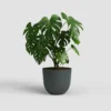 Artevasi Macetero Havana Natural Antracita 50cm