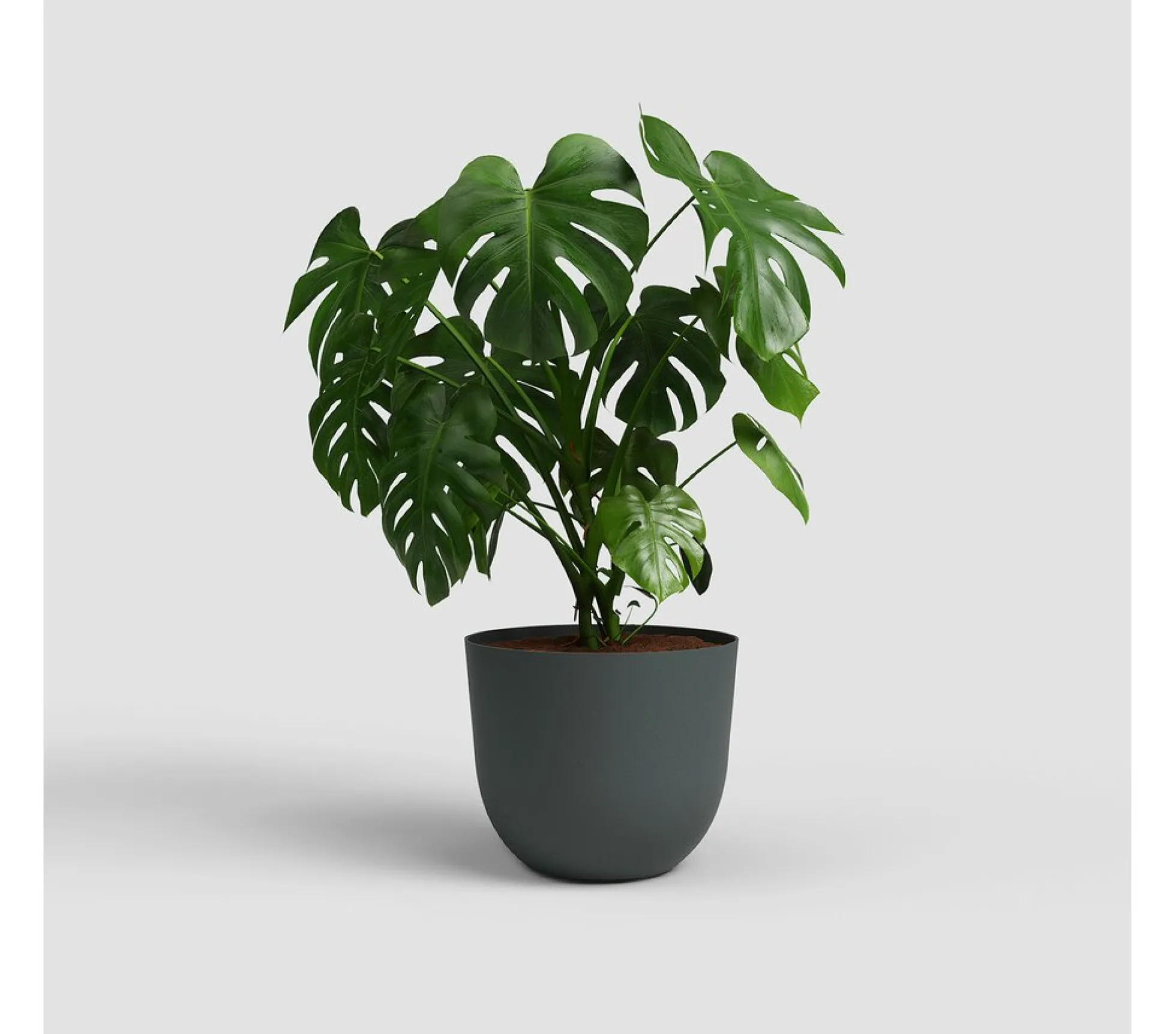 Artevasi Macetero Havana Natural Antracita 50cm