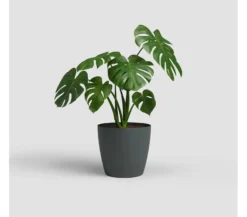 Artevasi Macetero Plastico Mate San Remo Antracita 36cm