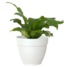 Artevasi Macetero Plástico Capri Campana Blanco 25cm