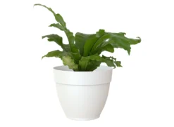 Artevasi Macetero Plástico Capri Campana Blanco 25cm