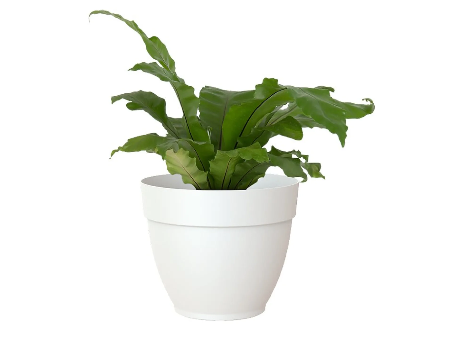 Artevasi Macetero Plástico Capri Campana Blanco 25cm