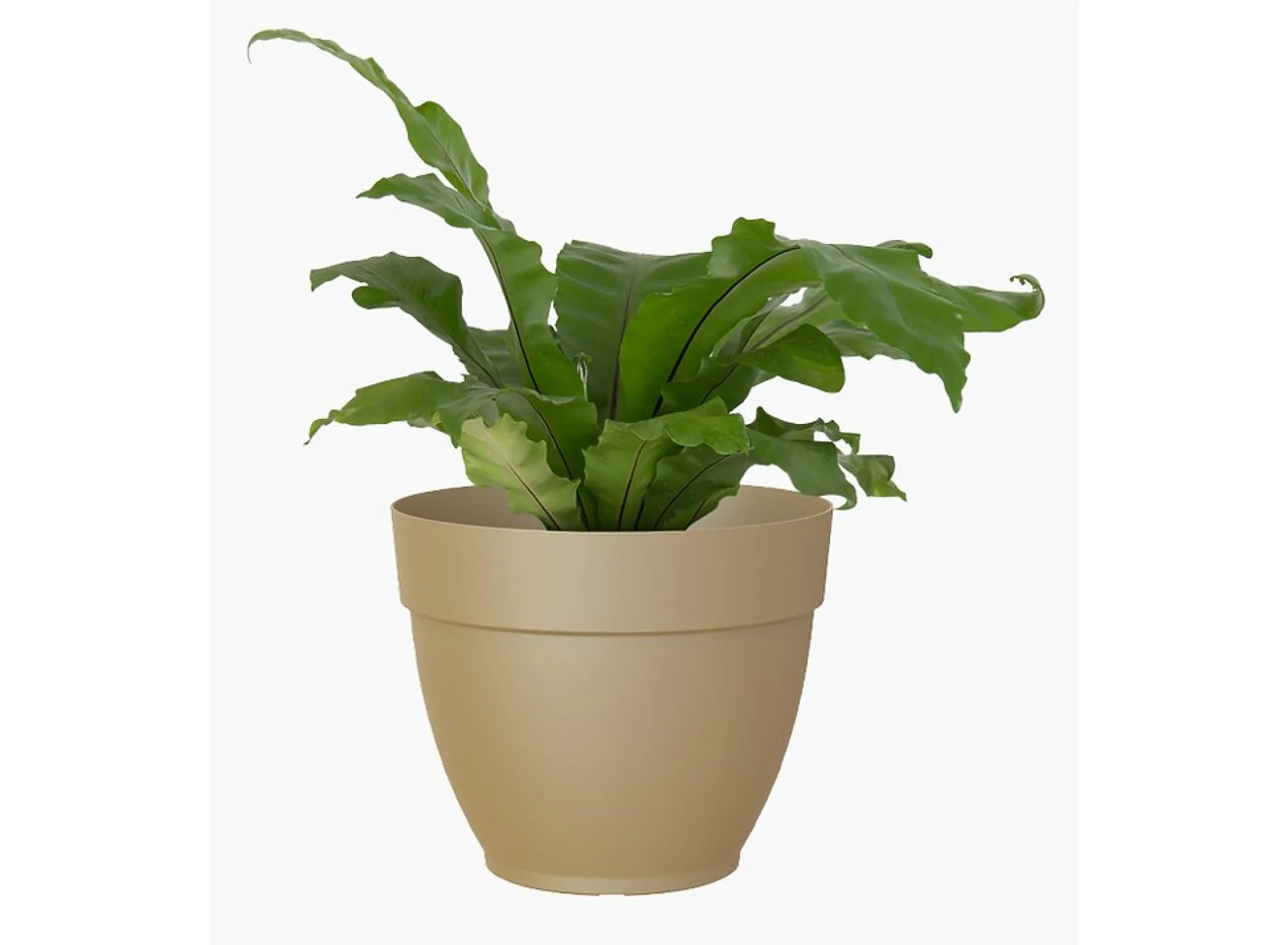 Artevasi Macetero Verde Plástico Campana Capri 25cm