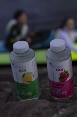 Artio Go! Lima-limón 12x500ml