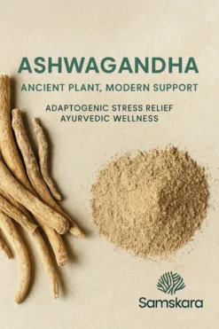 Ashwagandha En Polvo Bio - 500g | Superalimento Ecológico Vegano Para Batidos, Smoothies Y Zumos, Sin Azúcares Añadidos