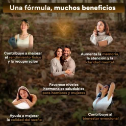 Ashwagandha KSM 66 Complex con Pimienta Negra Sevens Nutrition 120 cápsulas