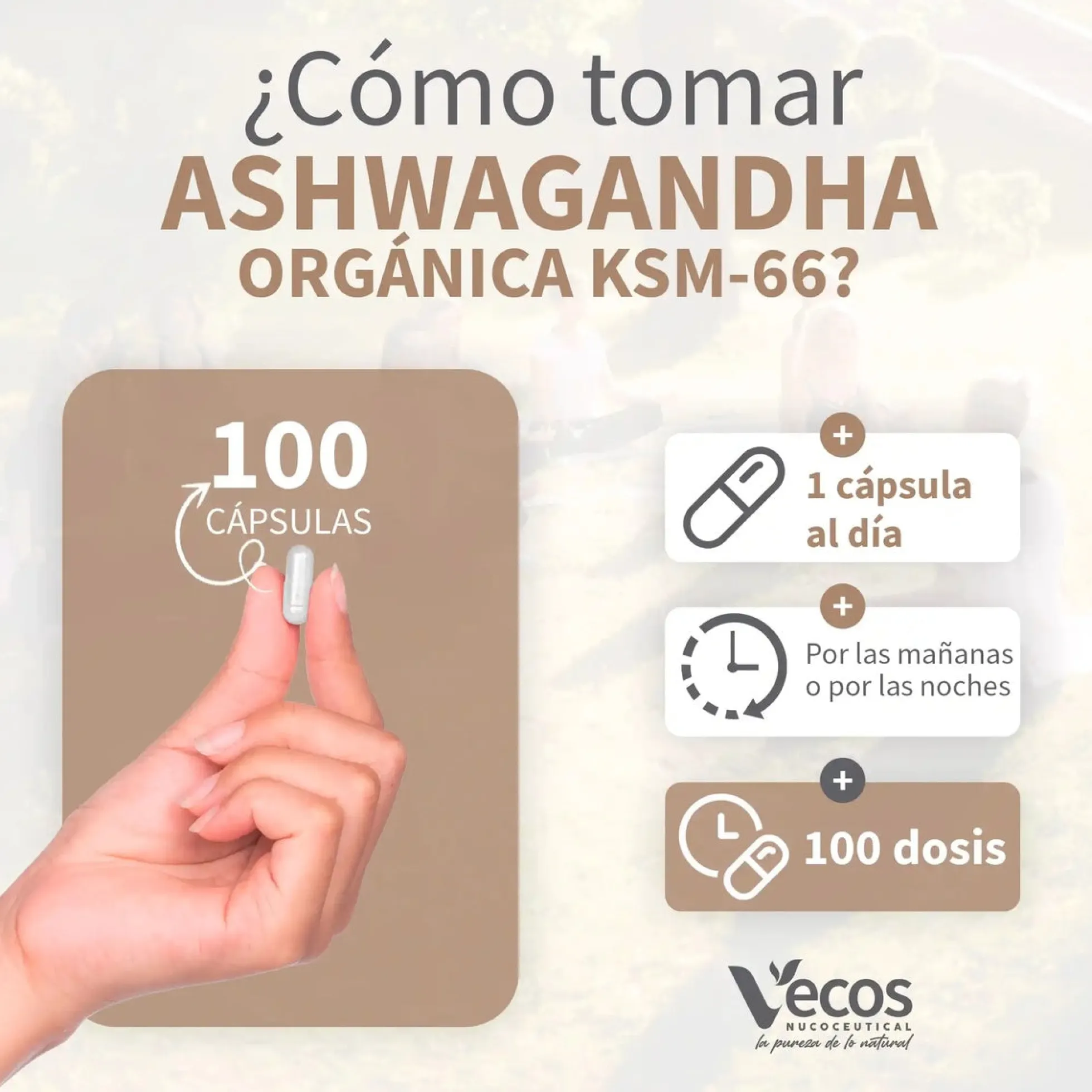 Ashwagandha KSM 66 eco Vecos 100 capsulas