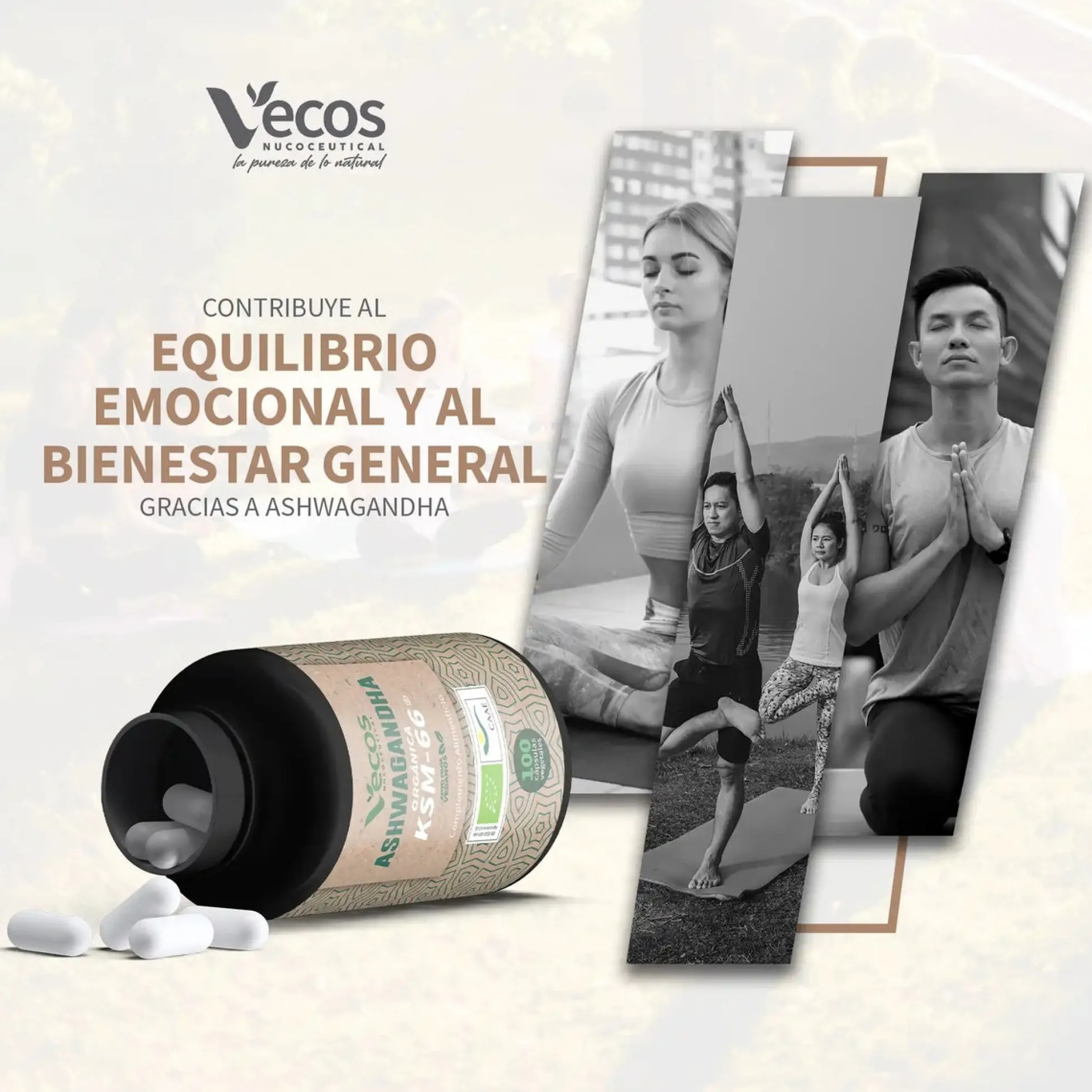 Ashwagandha KSM 66 eco Vecos 100 capsulas