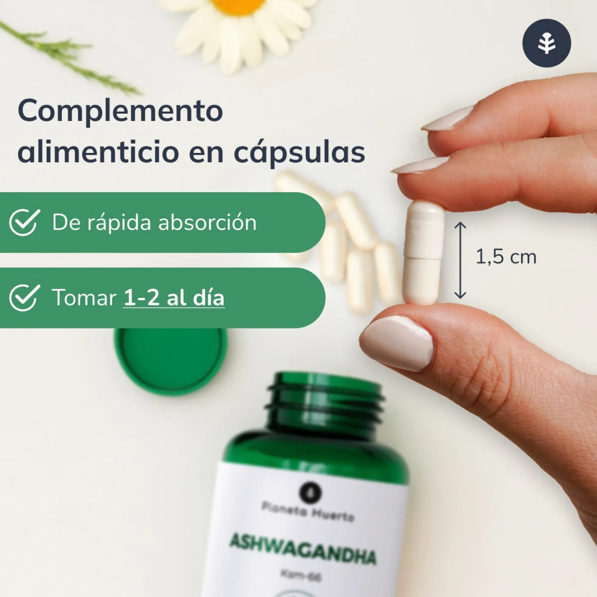 Ashwagandha KSM-66 Planeta Huerto 60 cápsulas