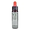 Bach Crab Apple-Manzano Silvestre 10Ml Santiveri