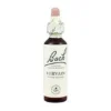 Bach 31 Vervain 20 Ml ( Flores De Bach Verbena) Bach