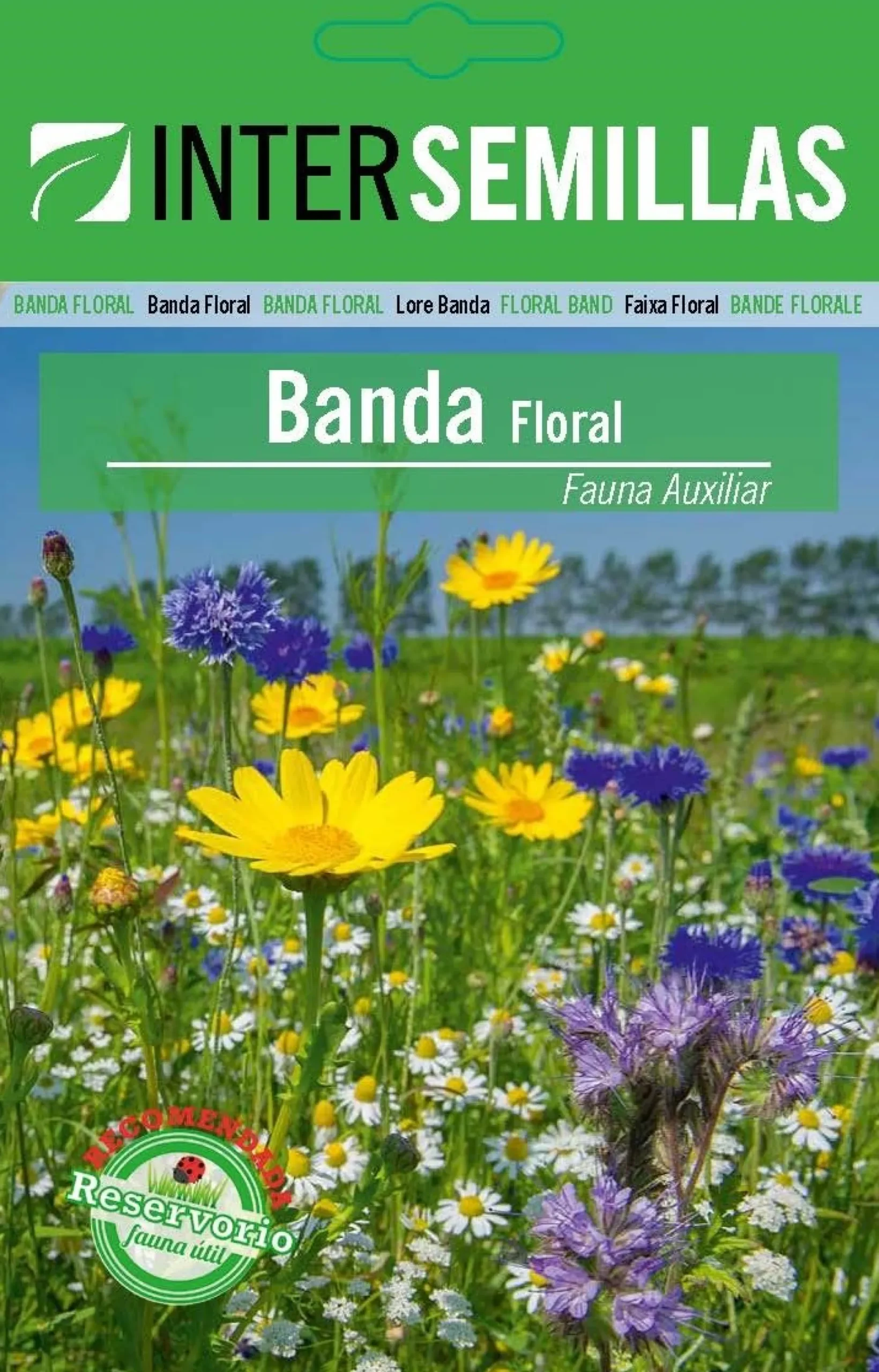 Banda Floral Fauna Auxiliar Sobre De Semillas
