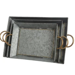 Bandeja Zinc Asas 51x31cm