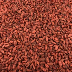 Baya De Goji Orgánica A Granel 0,5 Kg