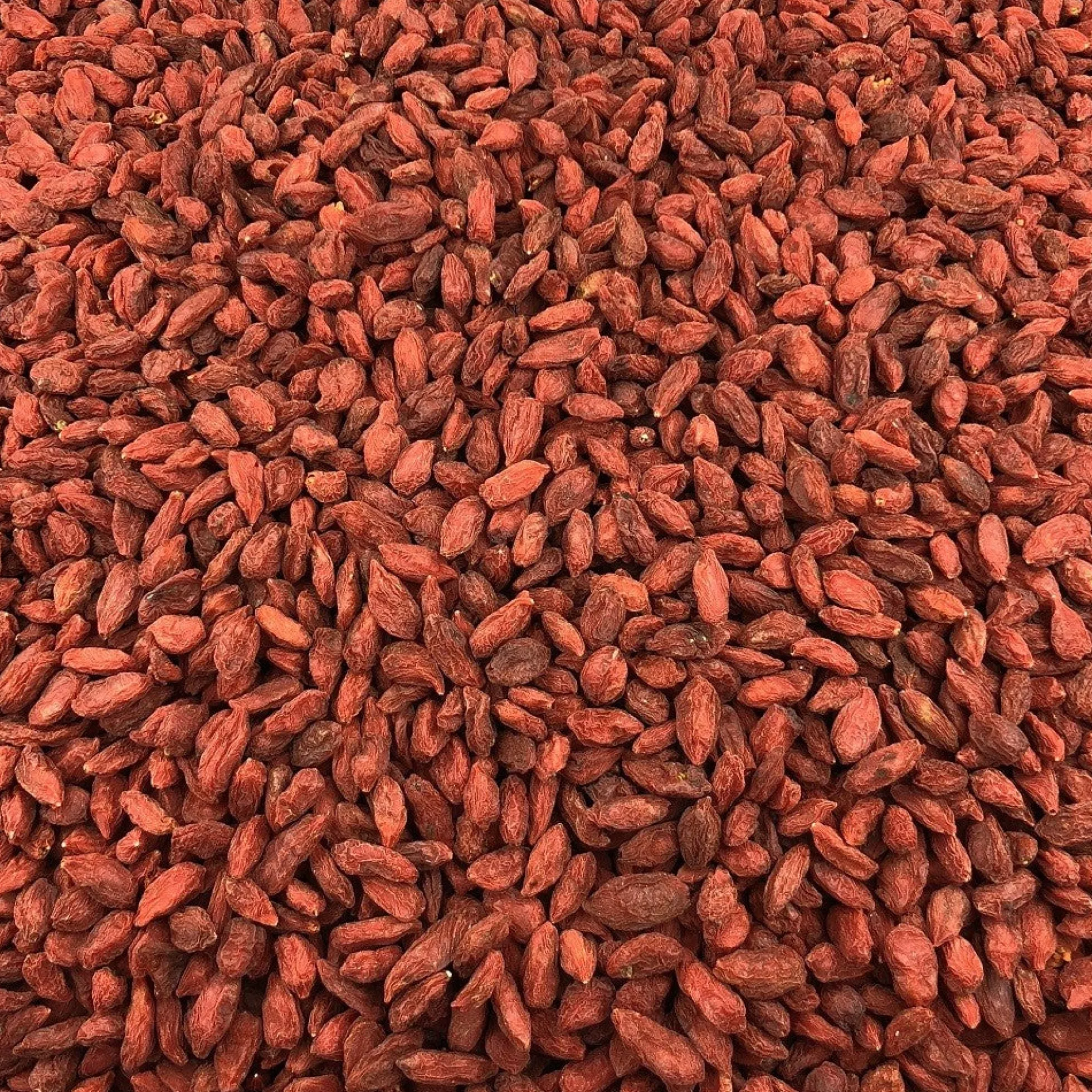 Baya De Goji Orgánica A Granel 0,5 Kg