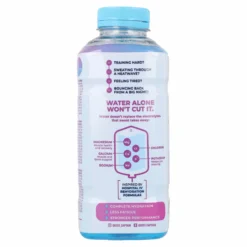 Bebida Natural Electrolyte Cool Blue Pet The Gutsy Captain 600 ml
