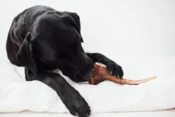Bimordiscos Asta De Ciervo Para Perros. S