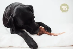 Bimordiscos Asta De Ciervo Para Perros. S