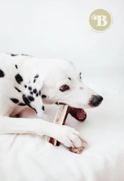 Bimordiscos Asta De Ciervo Partida Para Perros. L