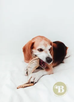 Bimordiscos Cuerno De Carnero Para Perros. M