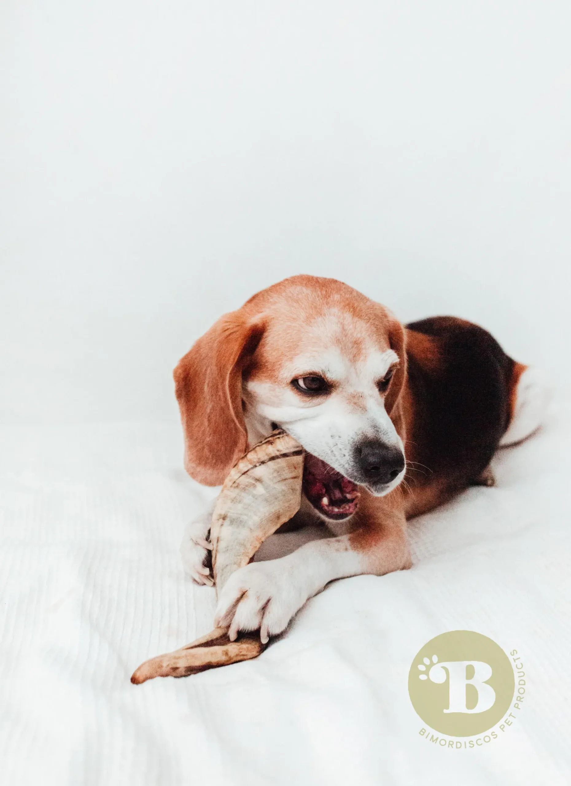 Bimordiscos Cuerno De Carnero Para Perros. M